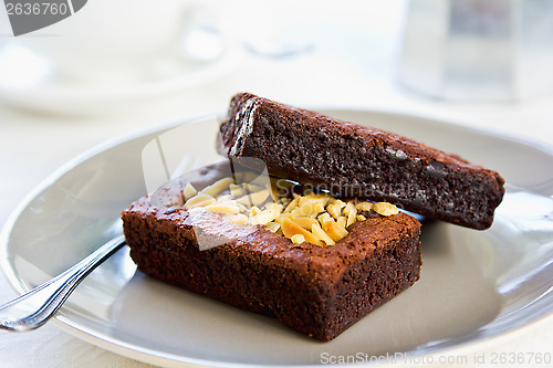 Image of Brownie