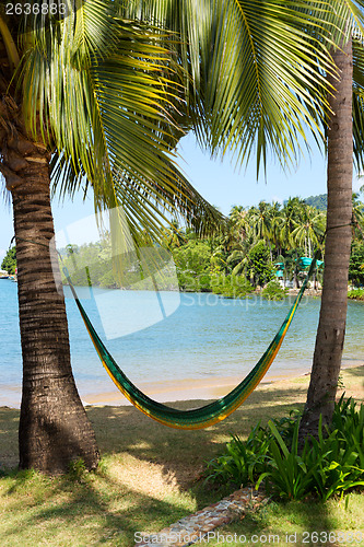 Image of Hammock on a tropical beach