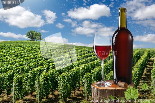 Image of Glass and bottle of red wine against vineyard landscape