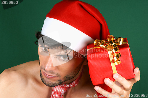 Image of Sexy Santa Claus