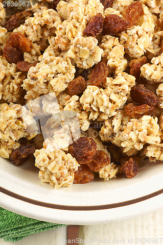 Image of Crunchy oat clusters with raisins closeup