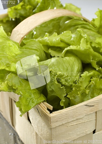 Image of salad