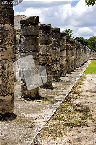 Image of  the  column incision