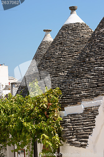 Image of Trulli houses in Alberobello, Italy