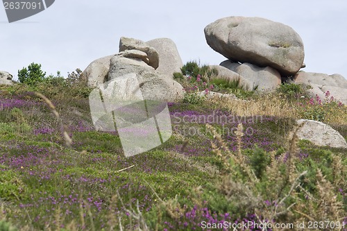 Image of around Perros-Guirec