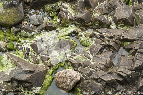 Image of rock detail around Perros-Guirec