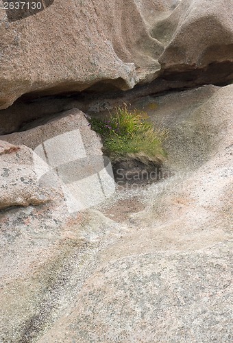 Image of rock detail around Perros-Guirec