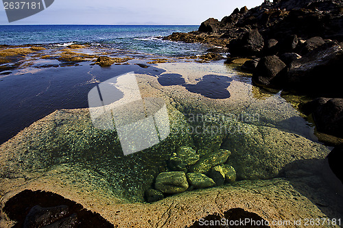 Image of musk pond rock  and summer in lanzarote spain