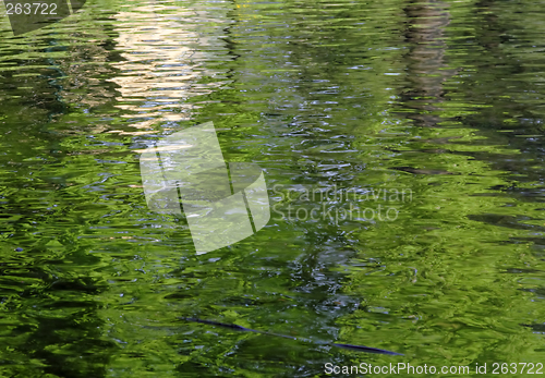 Image of Abstract pond background