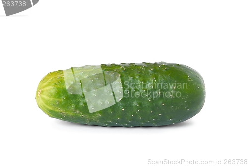 Image of Cucumber