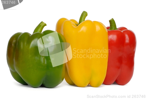 Image of Pepper