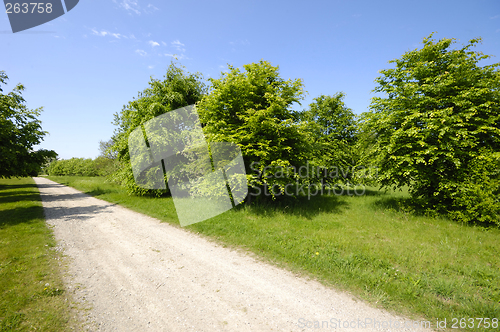 Image of Empty pathway