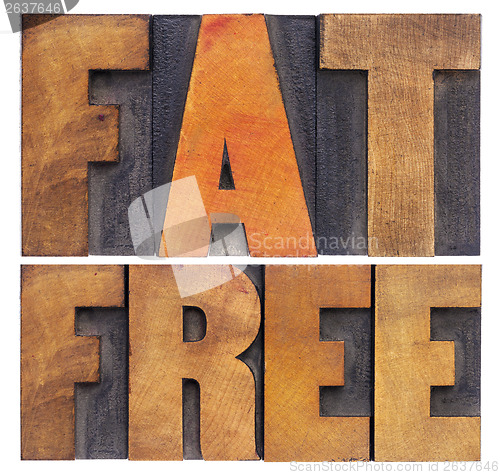 Image of fat  free words in wood type