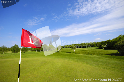 Image of Flag on golf course