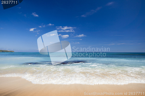 Image of Beautiful tropical beach