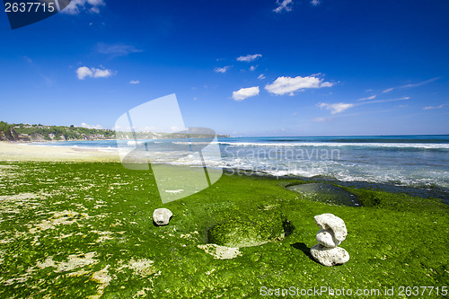 Image of White Stones in a beach