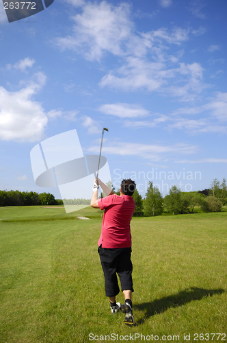 Image of Man playing golf