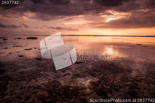 Image of Tropical sunset