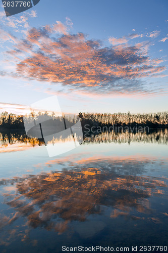 Image of sunrise in the wetlands of Berga