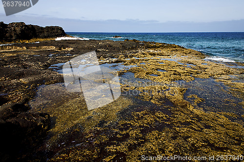 Image of rock  coastline and summer in lanzarote spain
