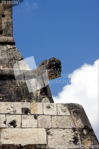 Image of skull snake in wall  mexico