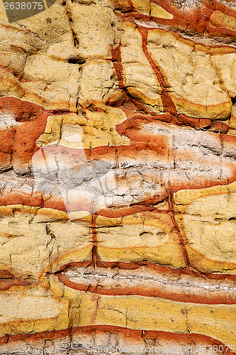 Image of   stone and lichens 