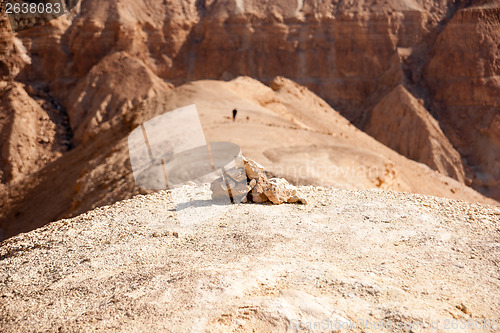 Image of Mountains in stone desert nead Dead Sea