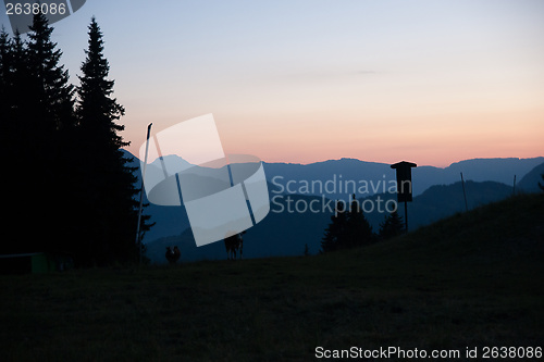 Image of Evening in Alps mountains