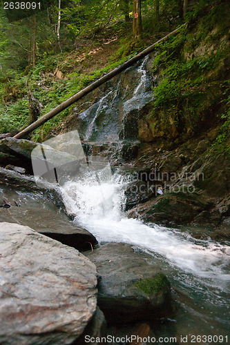 Image of Waterfall and river in forest