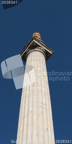 Image of The Monument London