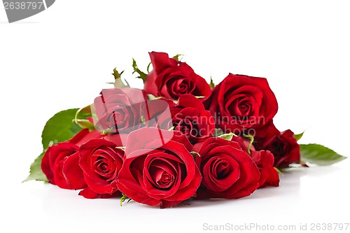 Image of red roses