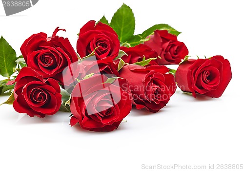 Image of red roses