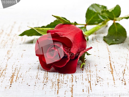 Image of red rose