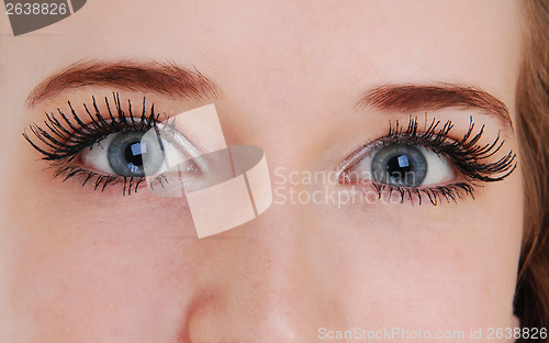 Image of Beautiful blue eyes.