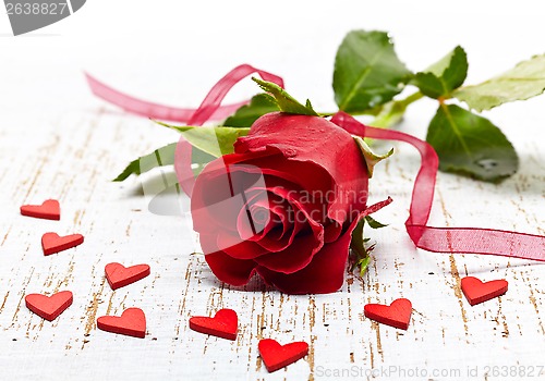 Image of red rose