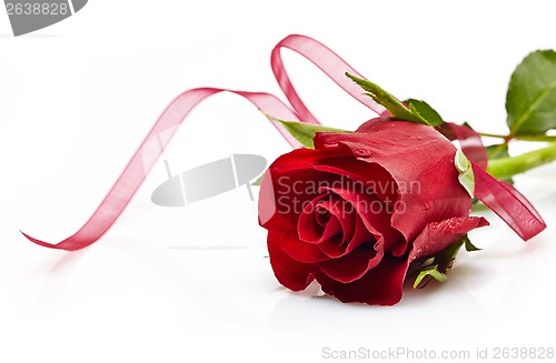 Image of red rose