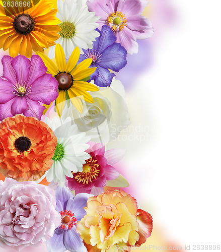 Image of Flowers Collection