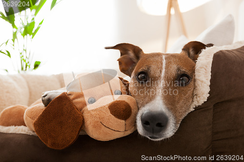 Image of cozy couple on sofa