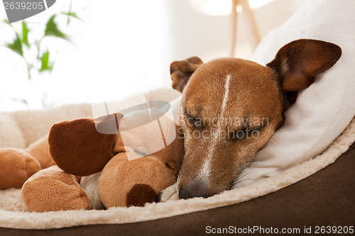 Image of cozy couple on sofa