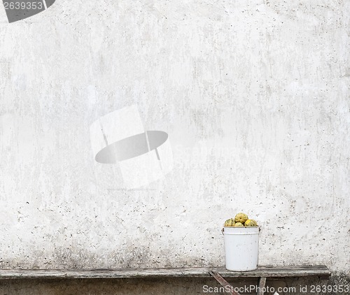 Image of pumpkins in the bucket