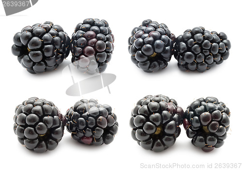 Image of Blackberry