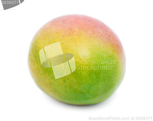 Image of Mango