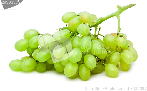 Image of Grapes
