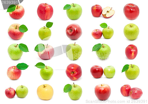Image of Apples