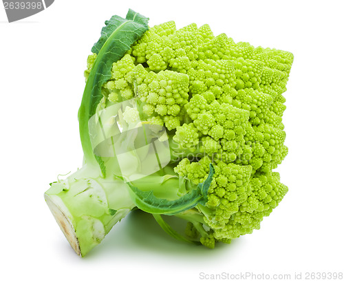 Image of Romanesco broccoli