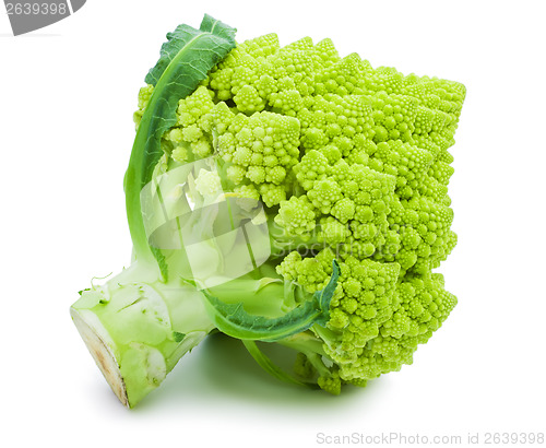 Image of Romanesco broccoli