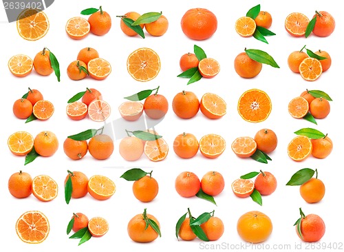 Image of Mandarins