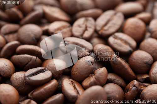 Image of Coffee beans