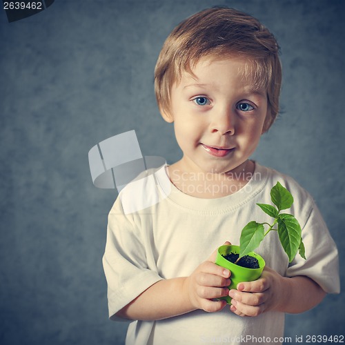 Image of Portrait of funny little boy with window plants
