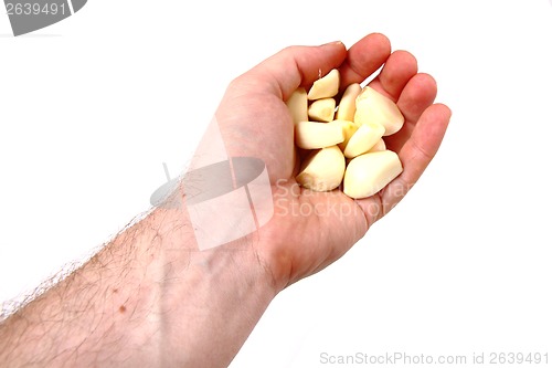 Image of garlic in my hand 